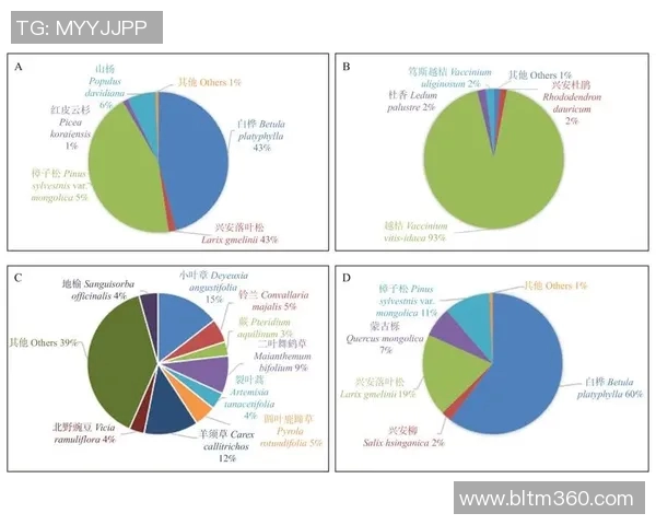 CBA赛季球队进攻端战术多样性分析与发展趋势探讨 CBA赛季球队进攻端战术多样性分析与发展趋势探讨