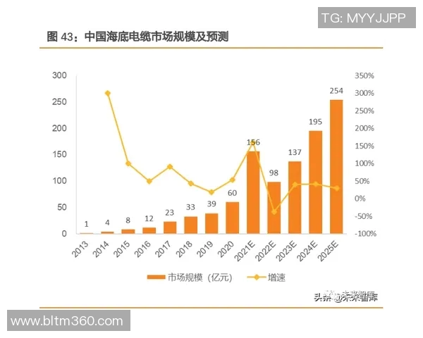 深度解析最新伤病名单动态及未来恢复进展趋势预测
